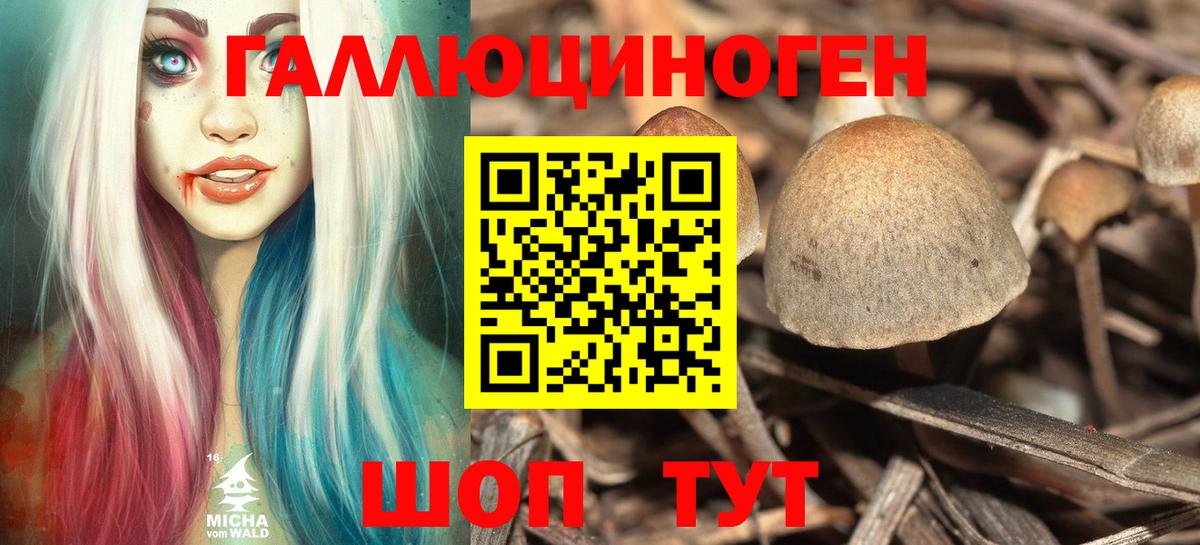 Малоярославец  магазин продажи   Вход с VPN  Галлюциногенные грибы Cubensis 